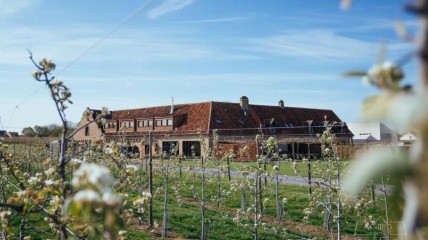 Dauwwandeling met ontbijtbuffet