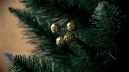 U Zijt Wellekome - kerstsamenzang